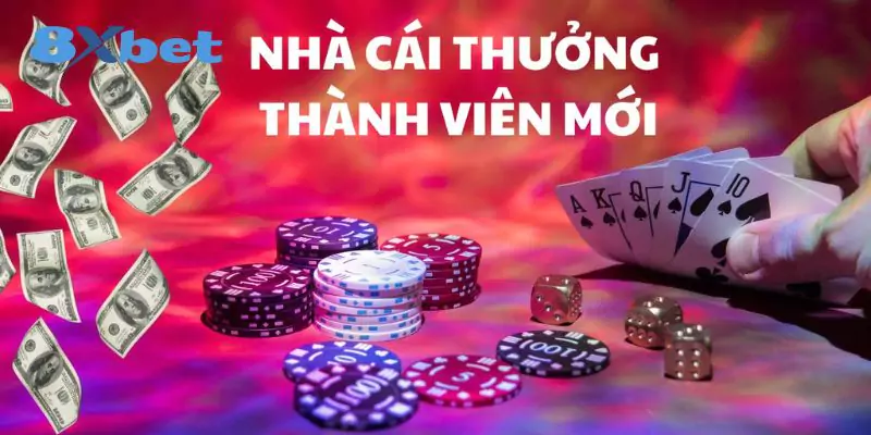 Nhà cái khuyến mãi 8xbet cung cấp nhiều chương trình ưu đãi hấp dẫn với phần thưởng cực khủng. Đăng ký ngay hôm nay để nhận vốn cược free.