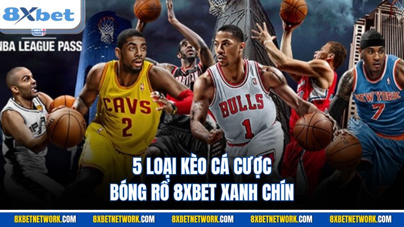 5 loại kèo cá cược bóng rổ 8XBET xanh chín