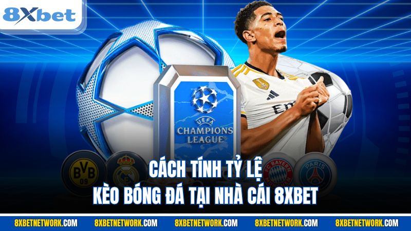 Cách tính tỷ lệ kèo bóng đá tại nhà cái 8XBET