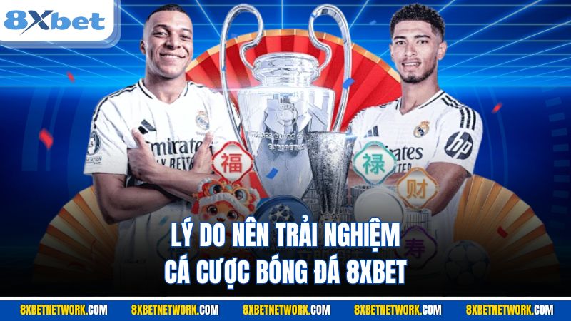 Lý do nên trải nghiệm cá cược bóng đá 8XBET