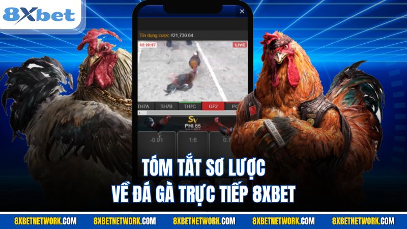 Tóm tắt sơ lược về đá gà trực tiếp 8XBET